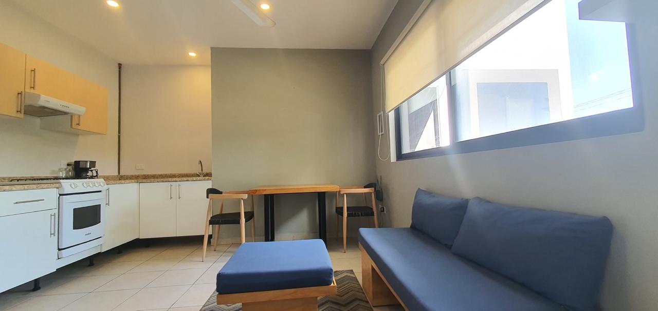 Área de sala y cocina equipada